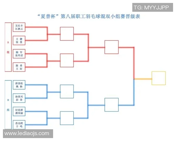 南京羽毛球队技术解析：从基础训练到比赛策略的全面探讨